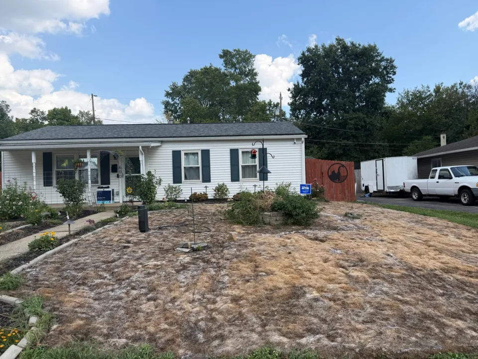 TJ's current lawn