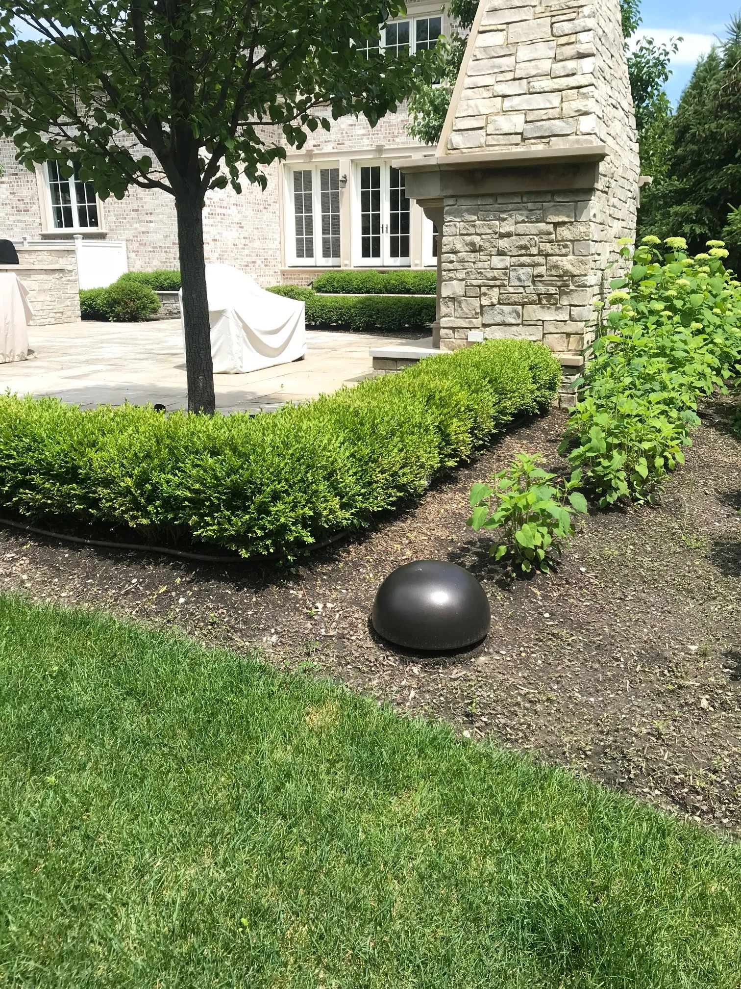 image7.jpeg